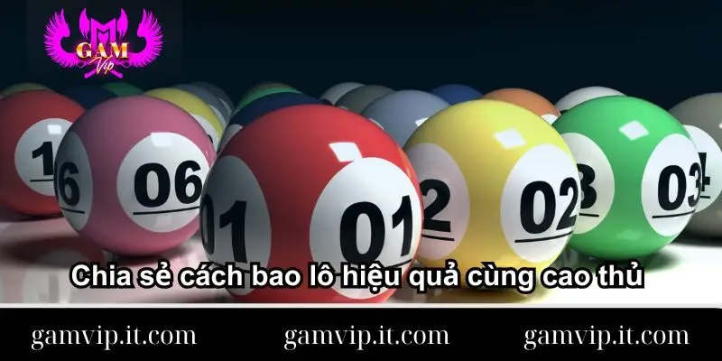 chia-se-cach-bao-lo-hieu-qua-cung-cao-thu 