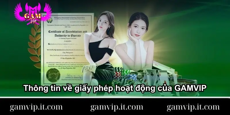 thong-tin-ve-giay-phep-hoat-dong-cua-gamvip