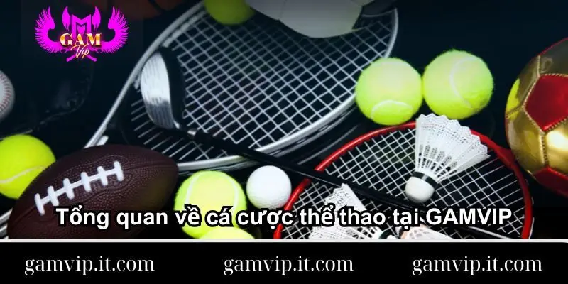 tong-quan-ve-ca-cuoc-the-thao-tai-gamvip